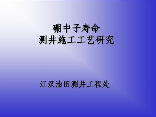 硼中子寿命测井施工工艺研究