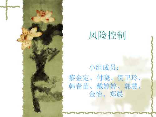 风险控制原理培训教材PPT