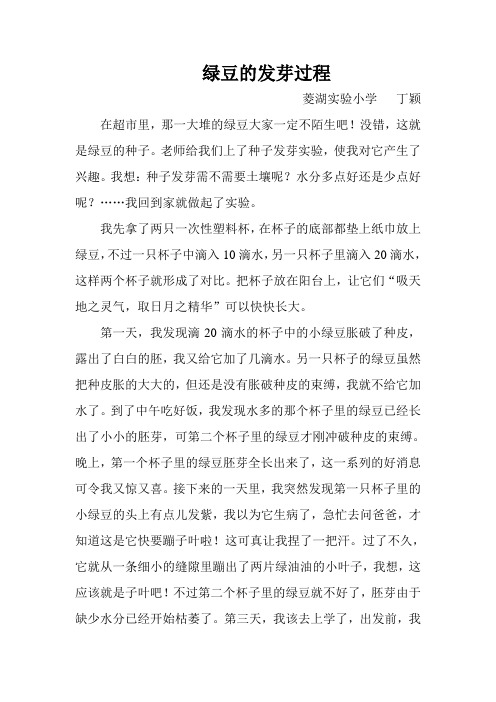 科学小论文 绿豆的发芽过程