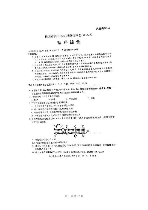 广东省梅州市2014届高三第二学期5月总复习质检理综试题(扫描版)
