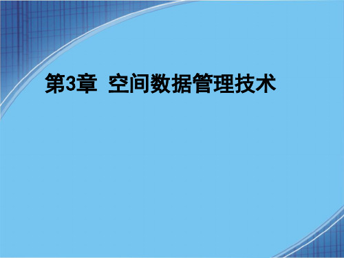 空间数据管理技术