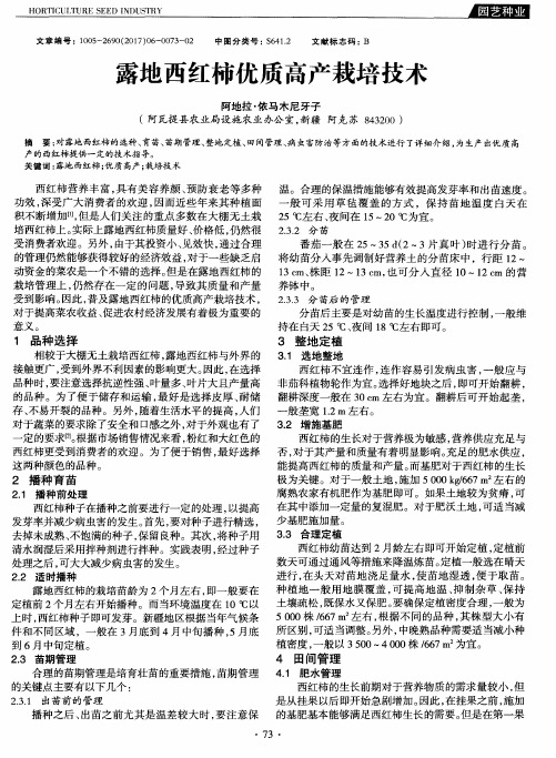露地西红柿优质高产栽培技术