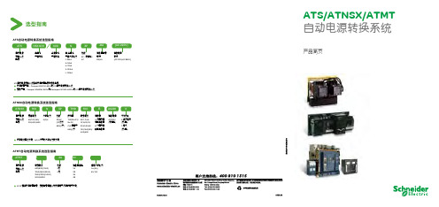 ATS、ATNSX、ATMT 产品简页 2009