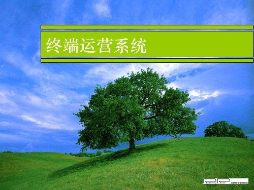 中研国际SEC多店运营盈利系统(终端)