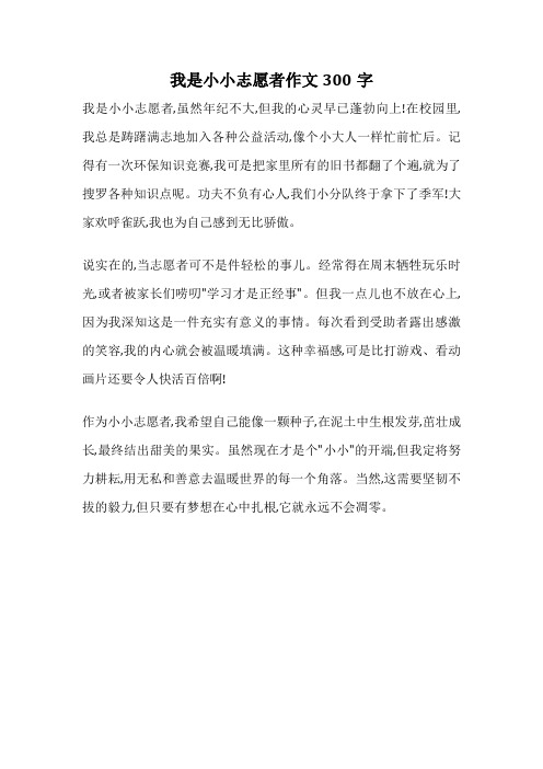 我是小小志愿者作文300字
