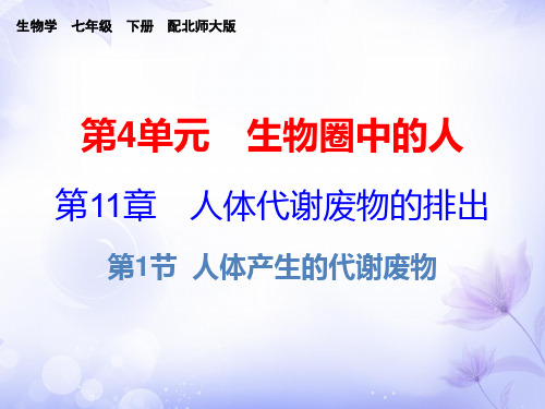 北师大版七年级下册生物第11章-第1节