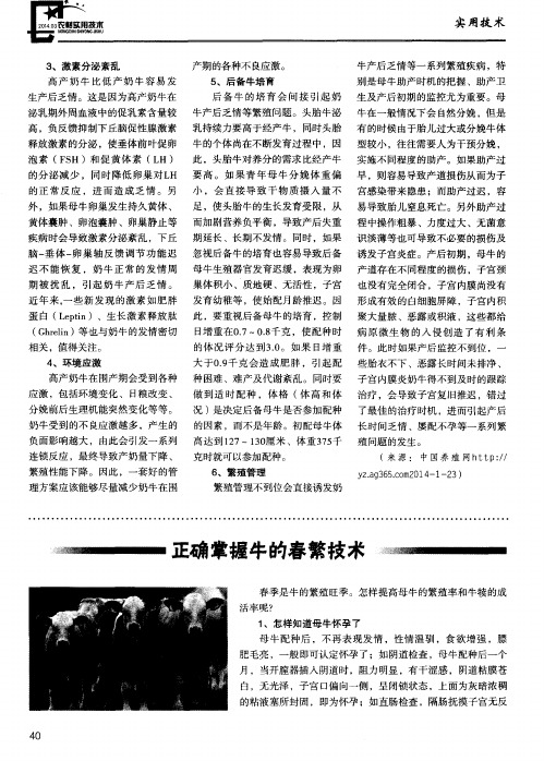 正确掌握牛的春繁技术
