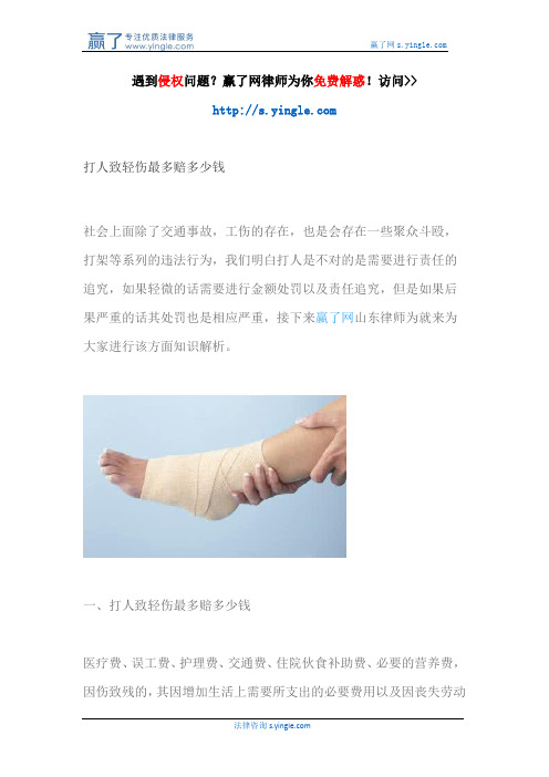 打人致轻伤最多赔多少钱