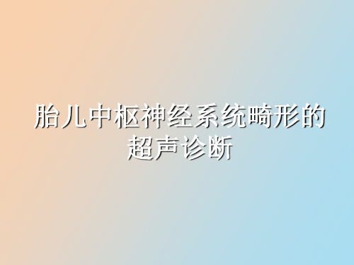 【精品课件】胎儿神经系统畸形的超声诊断