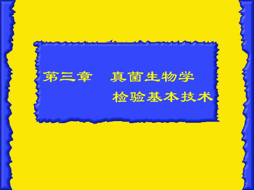 第3章++真菌生物学检验基本技术