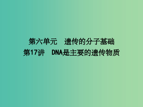 高考生物一轮复习 第六单元 遗传的分子基础 第17讲 DNA是主要的遗传物质课件