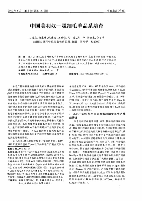 中国美利奴—超细毛羊品系培育