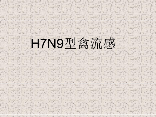 h7n9型禽流感ppt模板