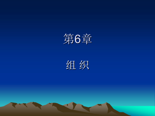 07现代管理学(第6章 组织)
