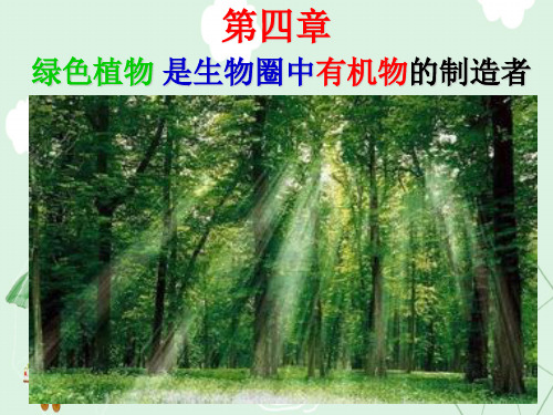绿色植物是生物圈中有机物的制造者PPT课件7 人教版
