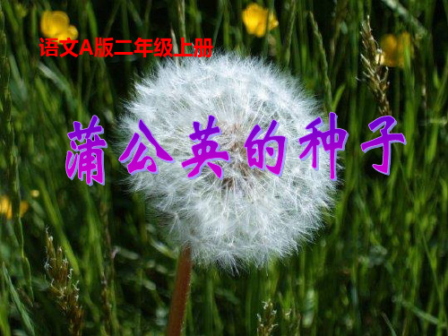 A版二年级语文上册《蒲公英的种子》PPT课件(2篇)