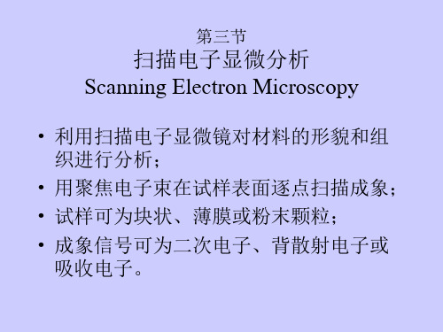 扫描电镜