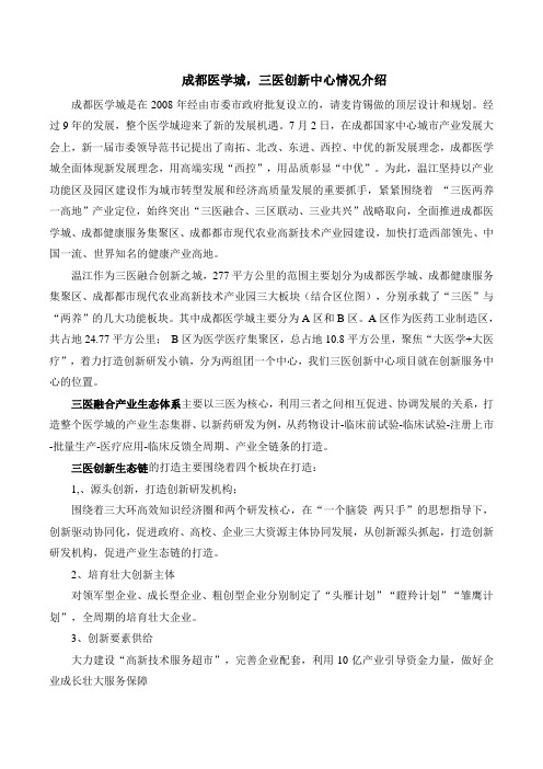 项目解说词
