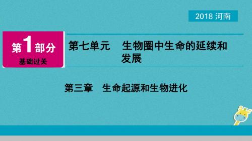河南省2018年中考生物总复习第1部分第7单元第3章生命起源和生物进化课件