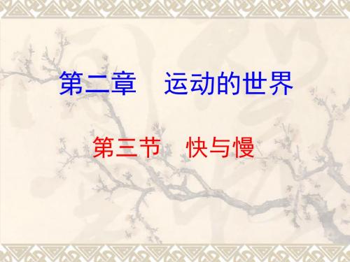 《快与慢》ppt1