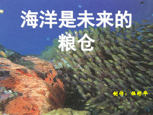 八级语文海洋是未来的粮仓课件 语文(通用)