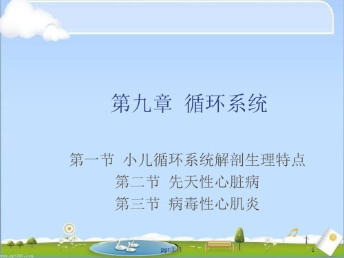 儿科护理--循环系统  ppt课件