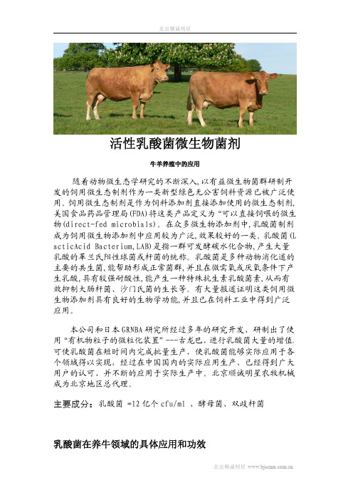 乳酸菌——牛羊养殖应用