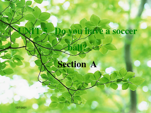 七年级英语 unit 5 do you have a soccer ball section a 