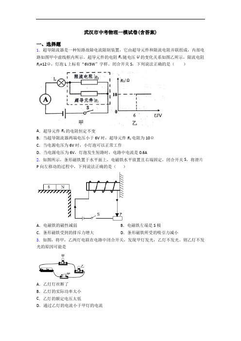 武汉市中考物理一模试卷(含答案)