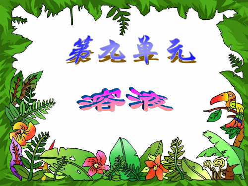 初中化学溶液单元复习