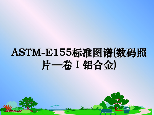 最新ASTM-E155标准图谱(数码照片—卷Ⅰ铝合金)