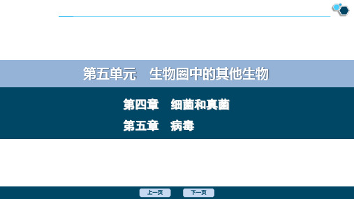 3 第四章 细菌和真菌 第五章 病毒
