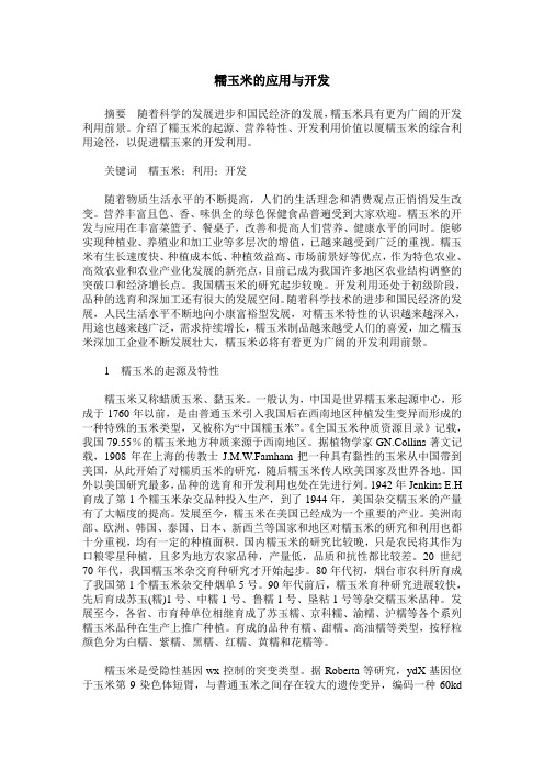 糯玉米的应用与开发