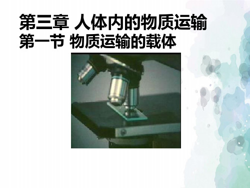 济南版-生物-七年级下册3.3.1物质运输的载体课件 (课时1) 