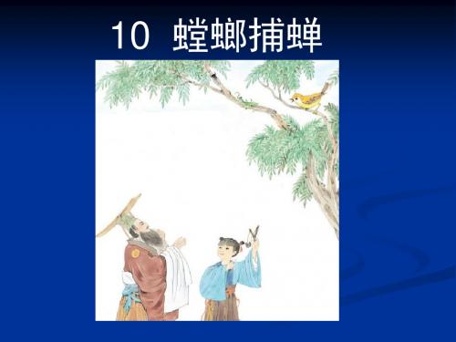 苏教版语文六年级下册第10课《螳螂捕蝉》ppt课件