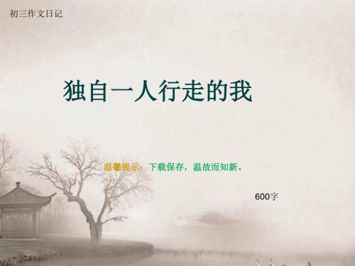 初三作文日记《独自一人行走的我》600字(总9页PPT)