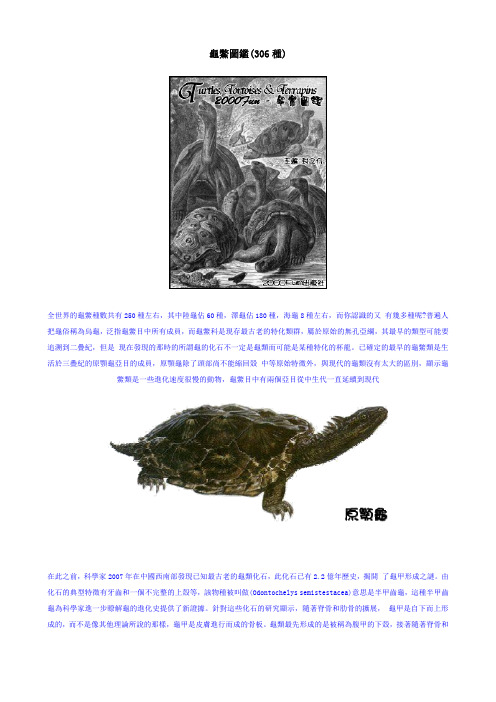 龟类图鉴