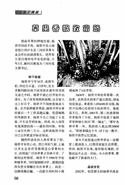 草果香飘致富路