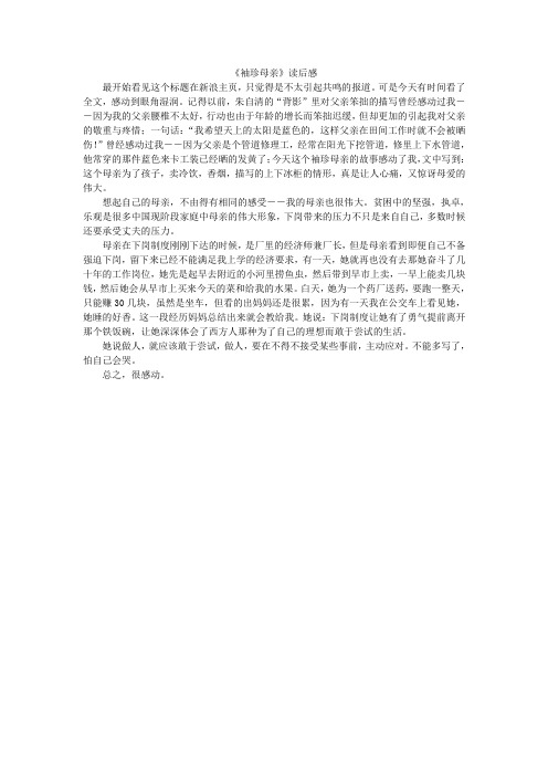 袖珍母亲读后感