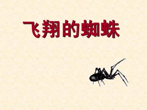 飞翔的蜘蛛