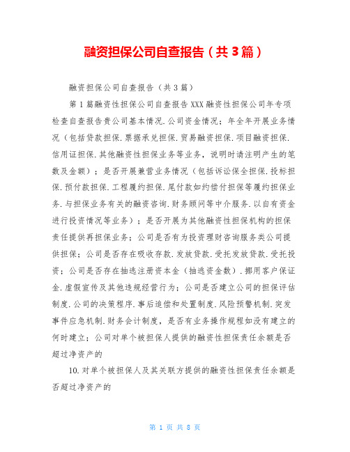 融资担保公司自查报告(共3篇)