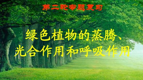 植物体的三大生理作用专题复习课件