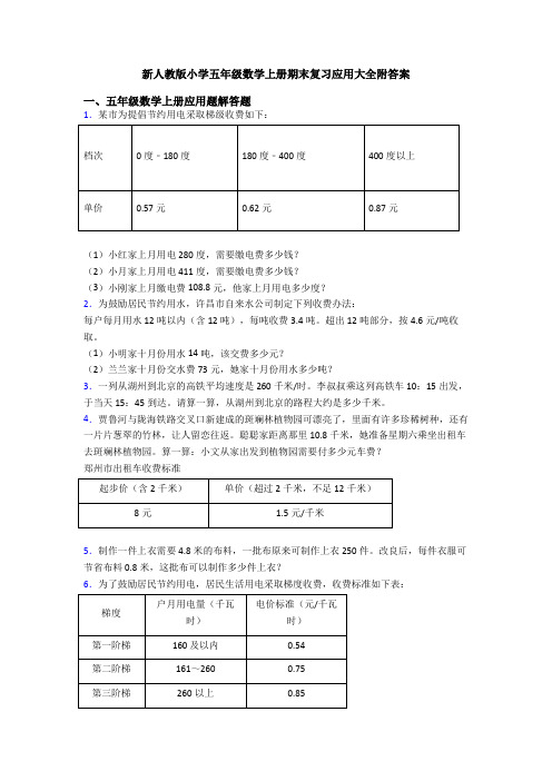 新人教版小学五年级数学上册期末复习应用大全附答案
