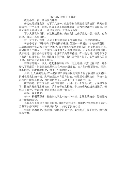 初中作文——话题《那一刻,我停下了脚步》 (8)