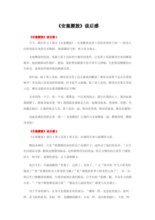 《安塞腰鼓》读后感