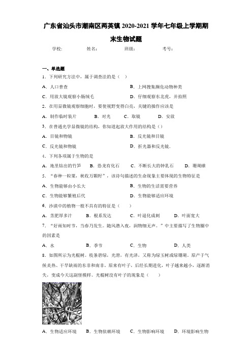 广东省汕头市潮南区两英镇2020-2021学年七年级上学期期末生物试题