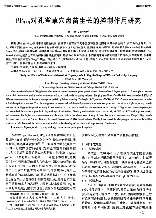 PP333对孔雀草穴盘苗生长的控制作用研究