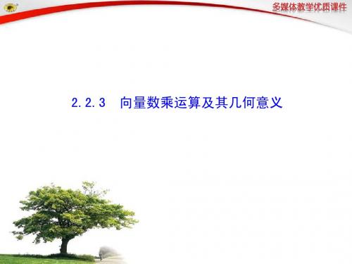 2.2.3  向量数乘运算及其几何意义