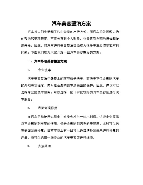 汽车美容整治方案