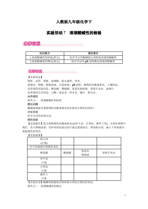 人教版化学九年级下第十单元  酸和碱实验活动7  溶液酸碱性的检验